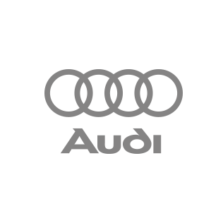 organización evento Audi